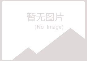 铁岭白山房地产有限公司